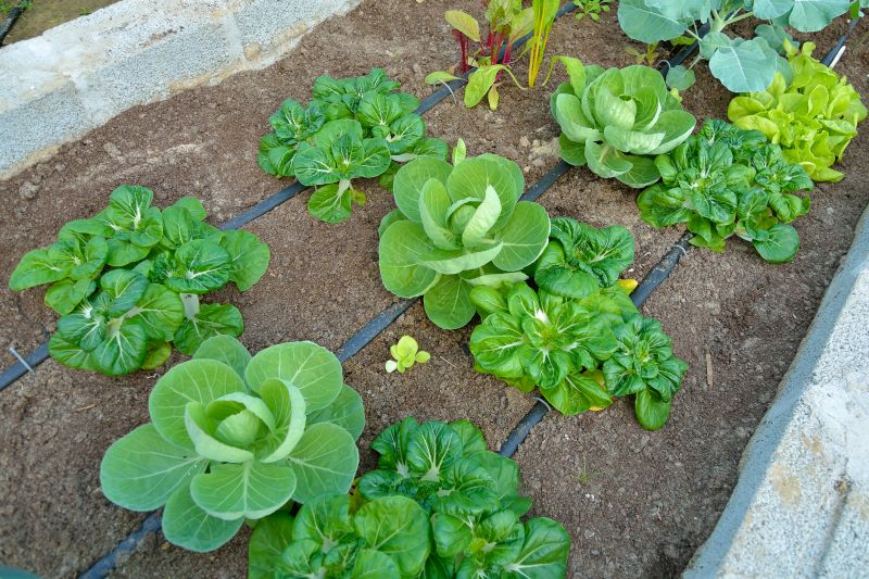 Subterranean Pipe Systems